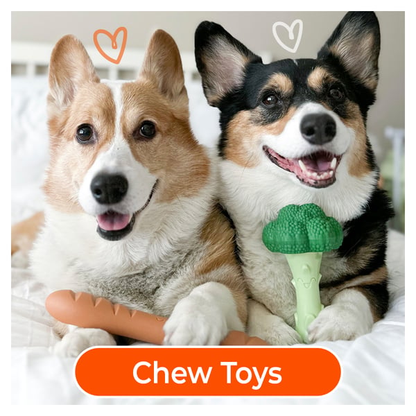 chews toys from nylabone