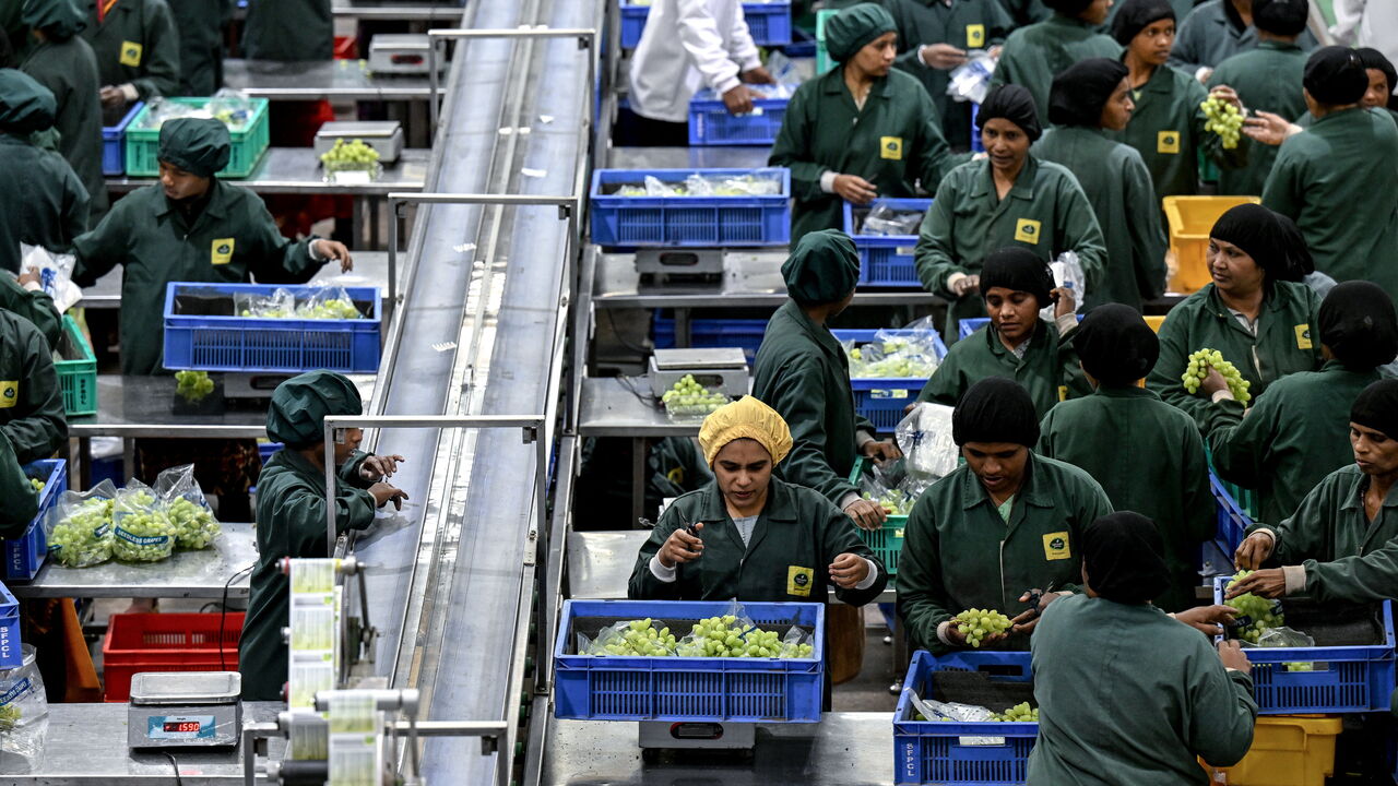 Employees checking the quality of grapes before packing them at the Sahyadri Farms, a farmer-owned cooperative in Nashik, India,