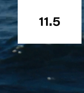 11.5