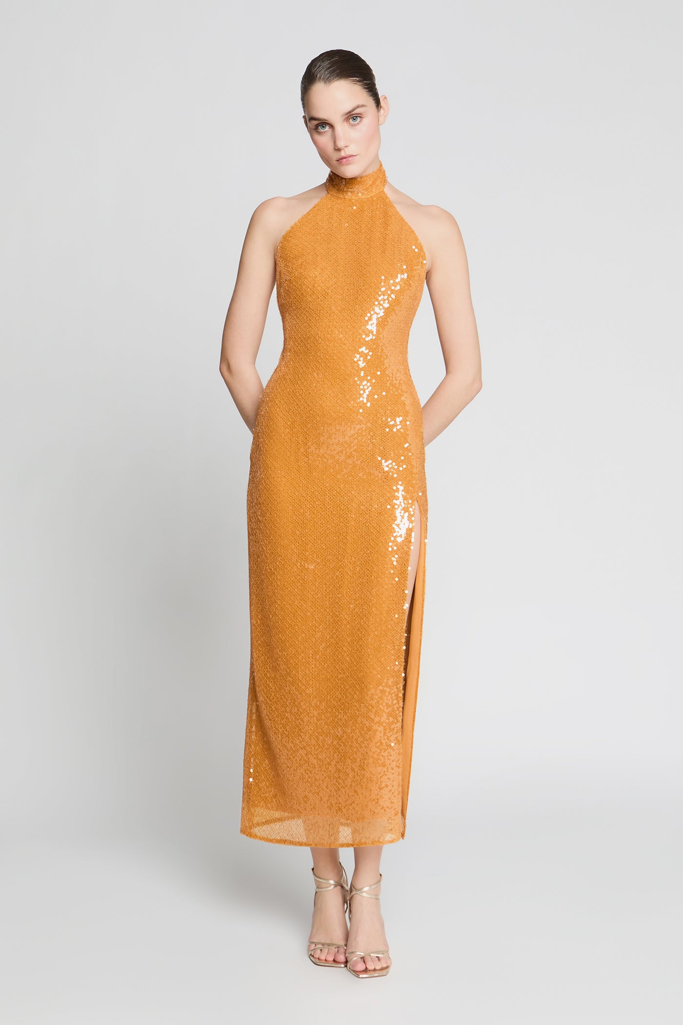 Image of Alva Sequin Midi Dress