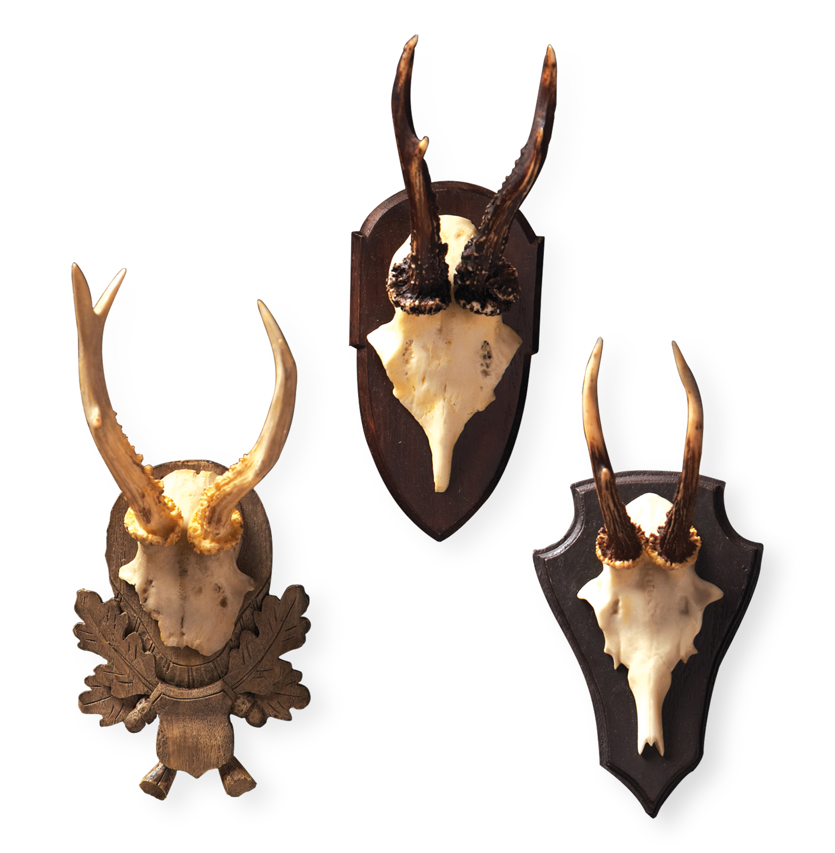 Image of Alsace Hunt Club Reproduction Antler Wall Mount Trophy- Set of 3