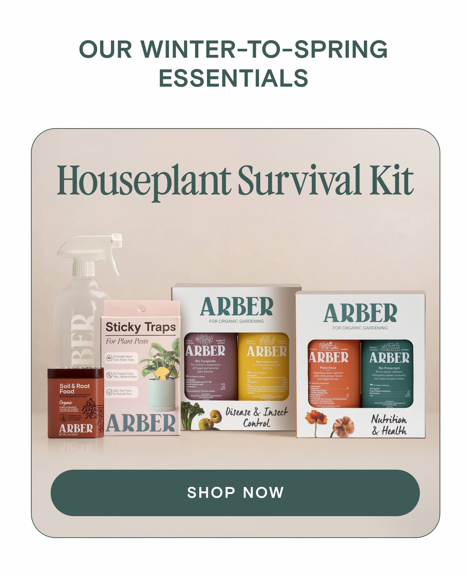 Our winter-to-spring essentials Houseplant Survival Kit
