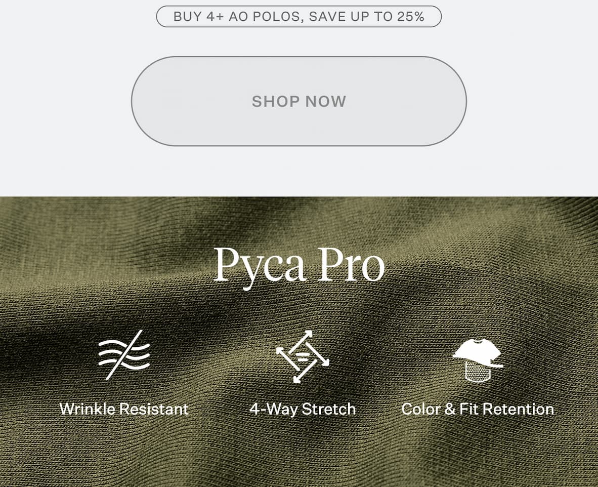 AO Polo