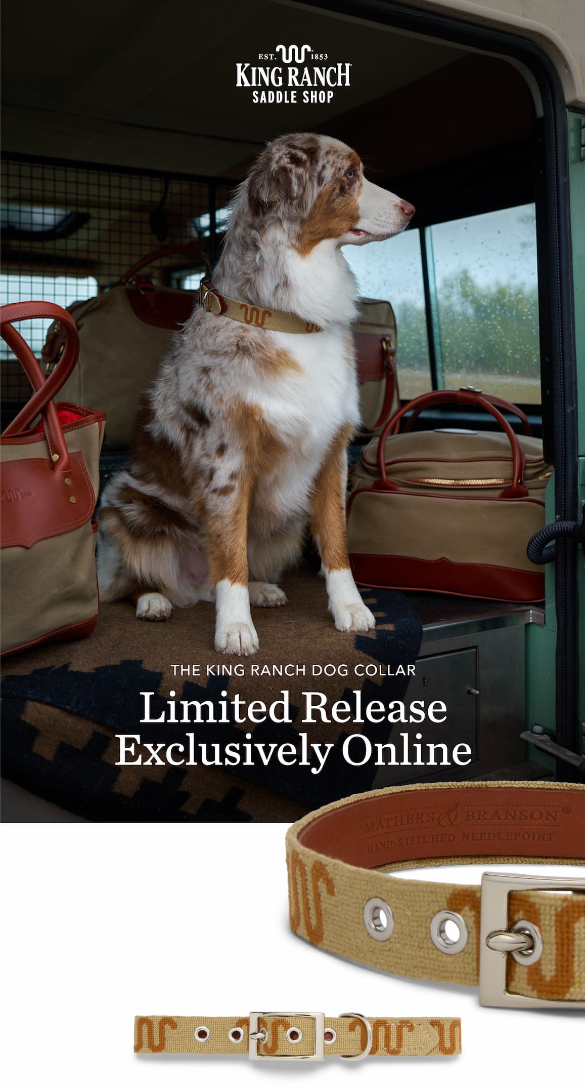SHOP THE DOG COLLAR