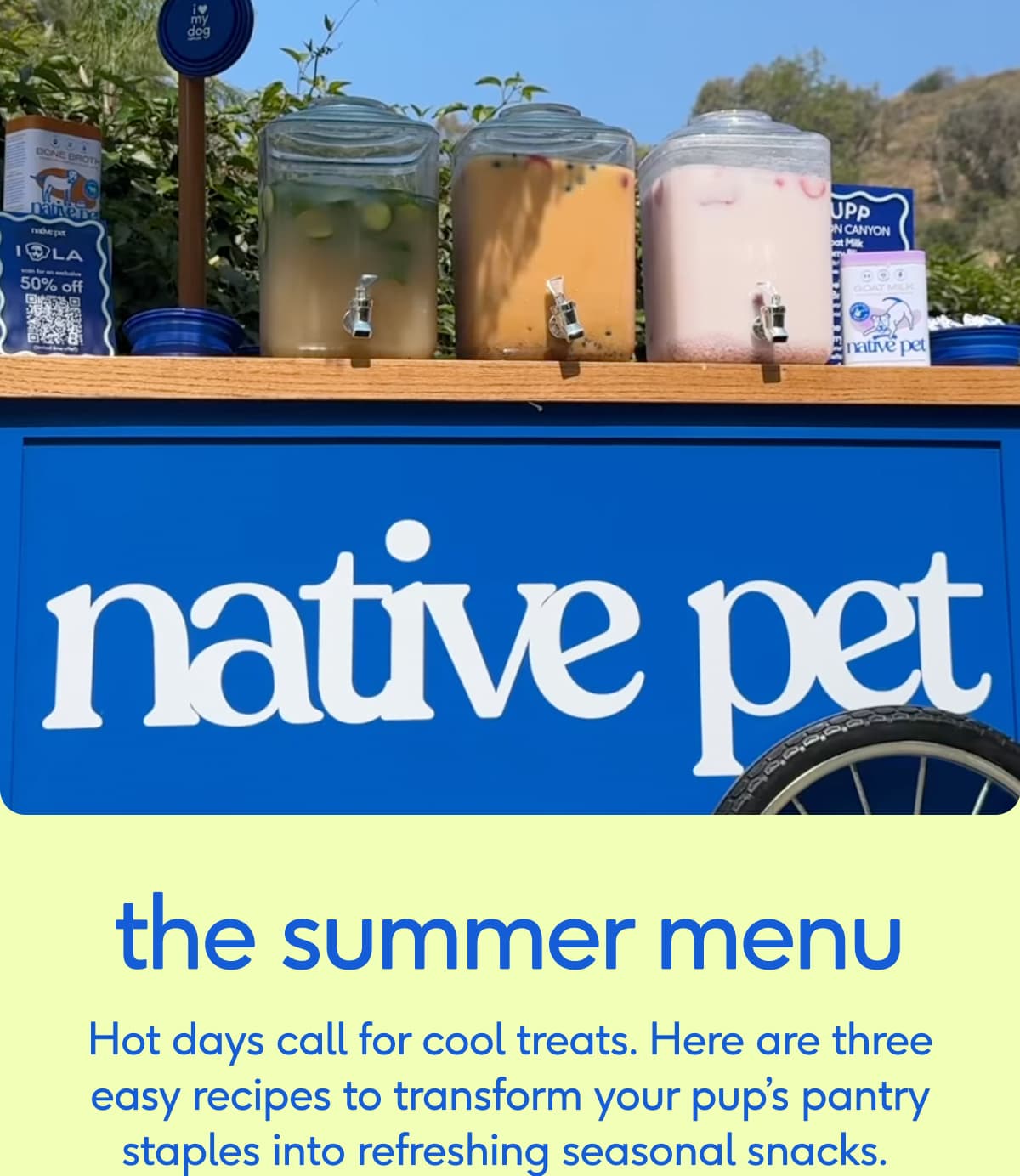 the summer menu Hot days call for cool treats. Here are three easy recipes to transform your pup’s pantry staples into refreshing seasonal snacks.&nbsp; 