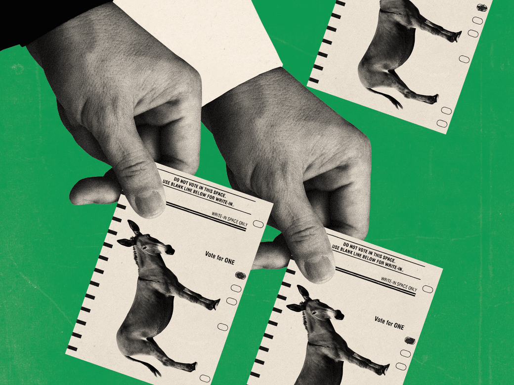 Various hands holding voting cards.