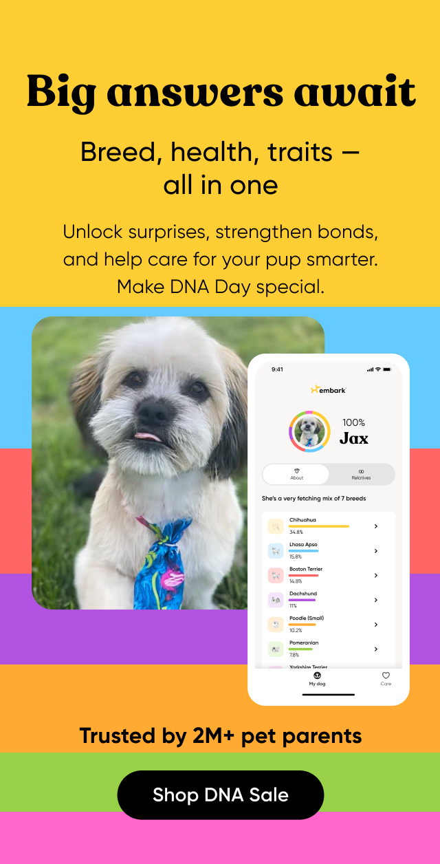 Big answers await. Breed, health, traits—all in one. Unlock surprises, strengthen bonds, and help care for your pup smarter. Make DNA Day special. Trusted by 2M+ pet parents. Shop DNA Sale.