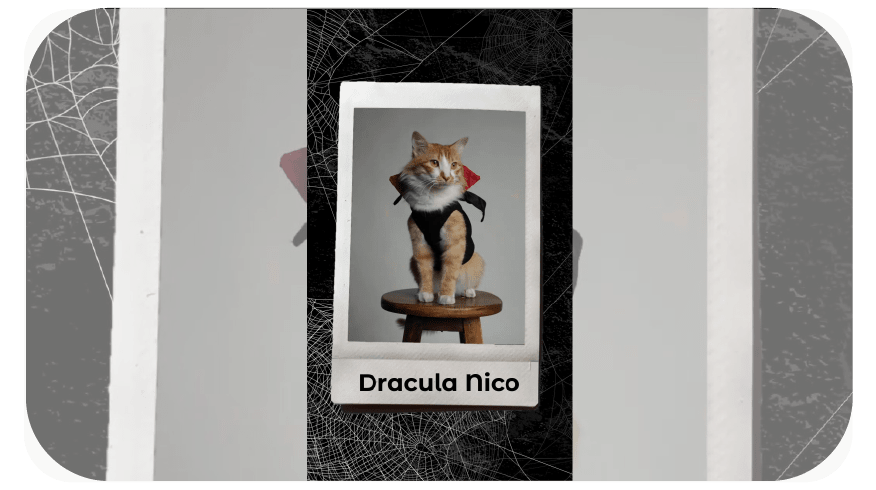 Pet Costumes Reel template graphic