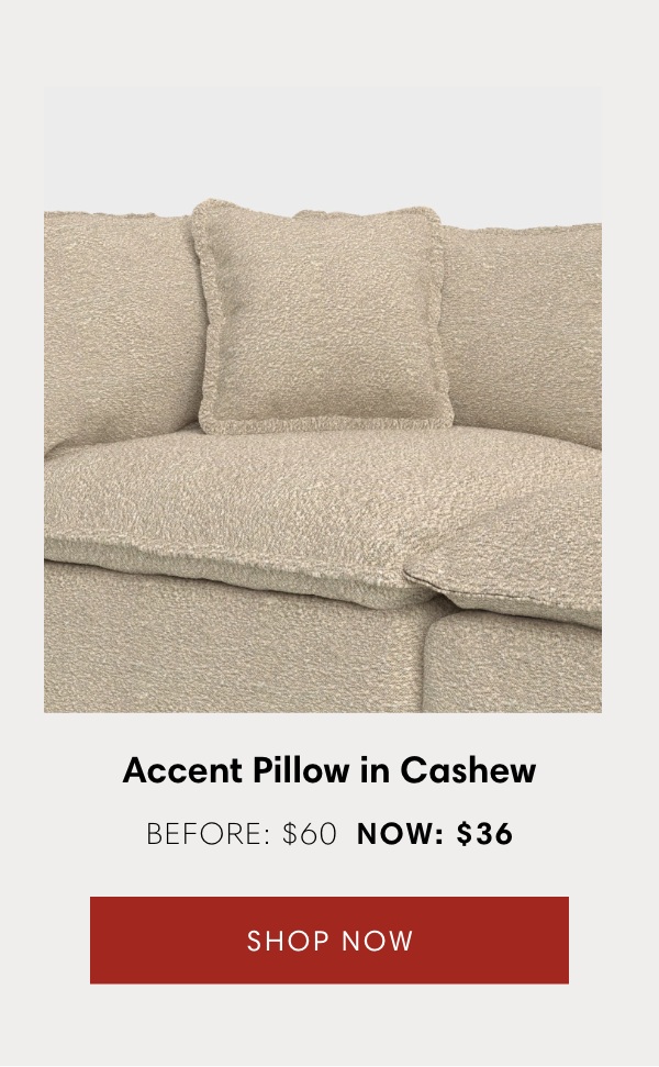 Accent Pillow in Cashew