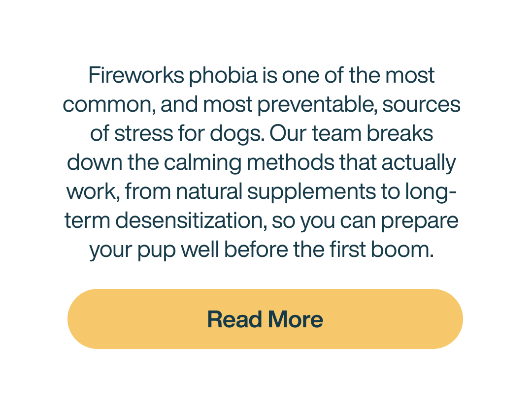Read more