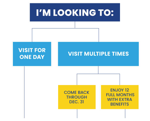 Plan Your Visit