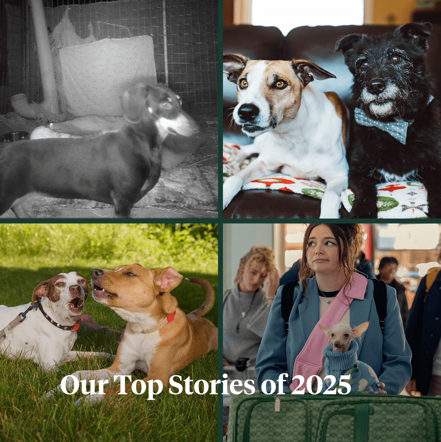 best-of-digest-2025
