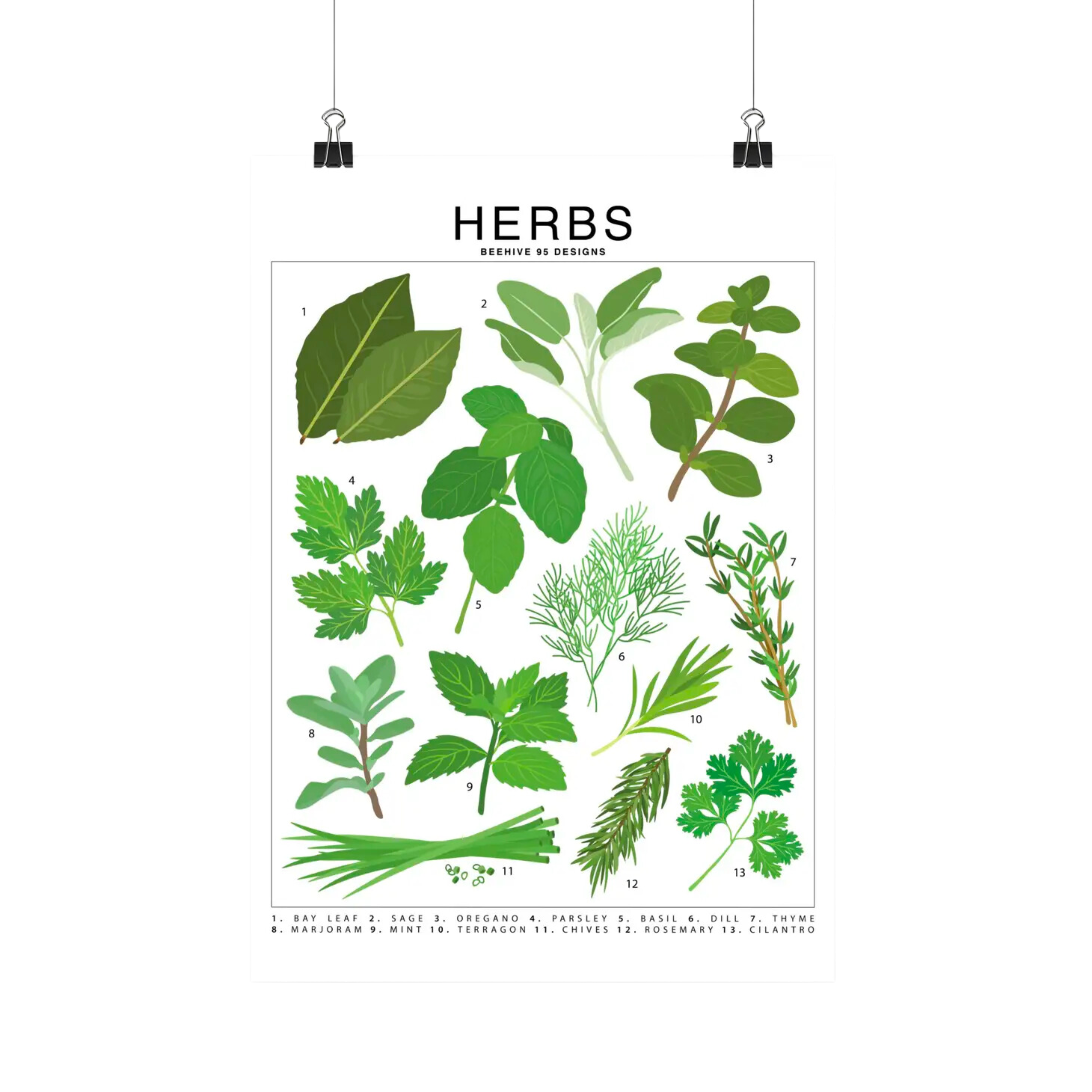 Image of Herbs Species Id Chart - Botanical Garden Art Print
