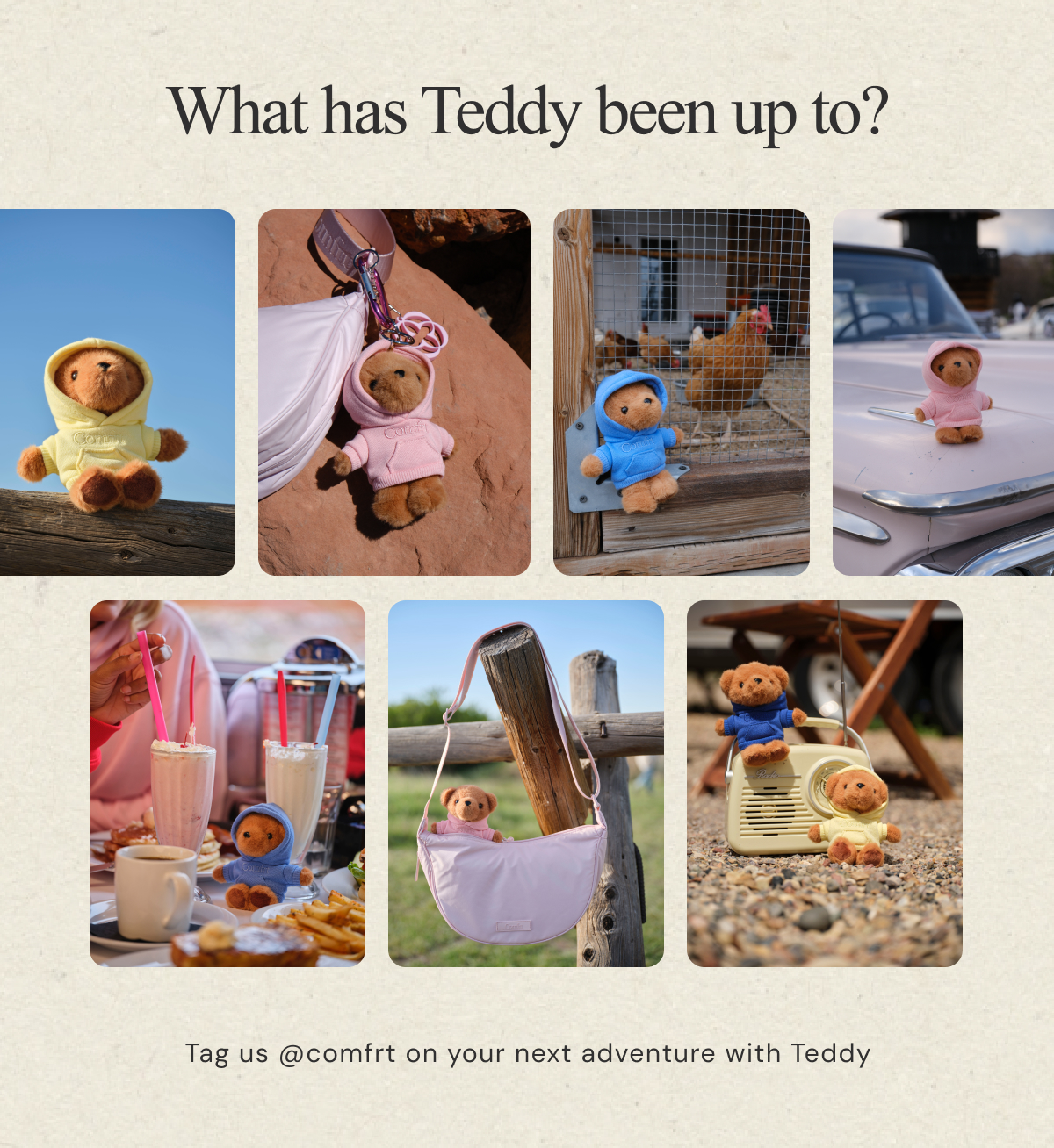 Shop The Teddy Bear Keychain