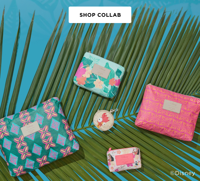 SHOP COLLAB