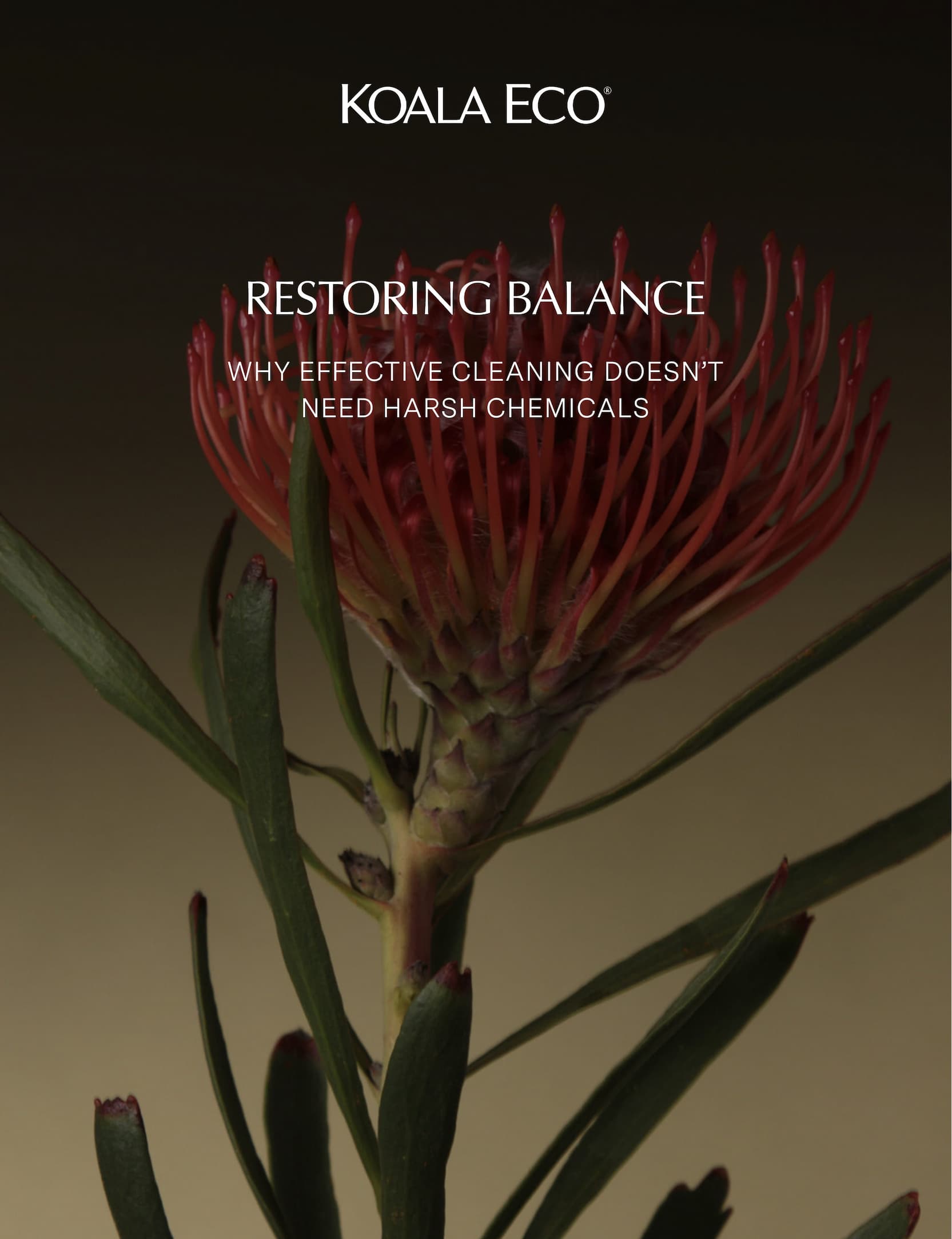KOALA ECO: Restoring Balance
