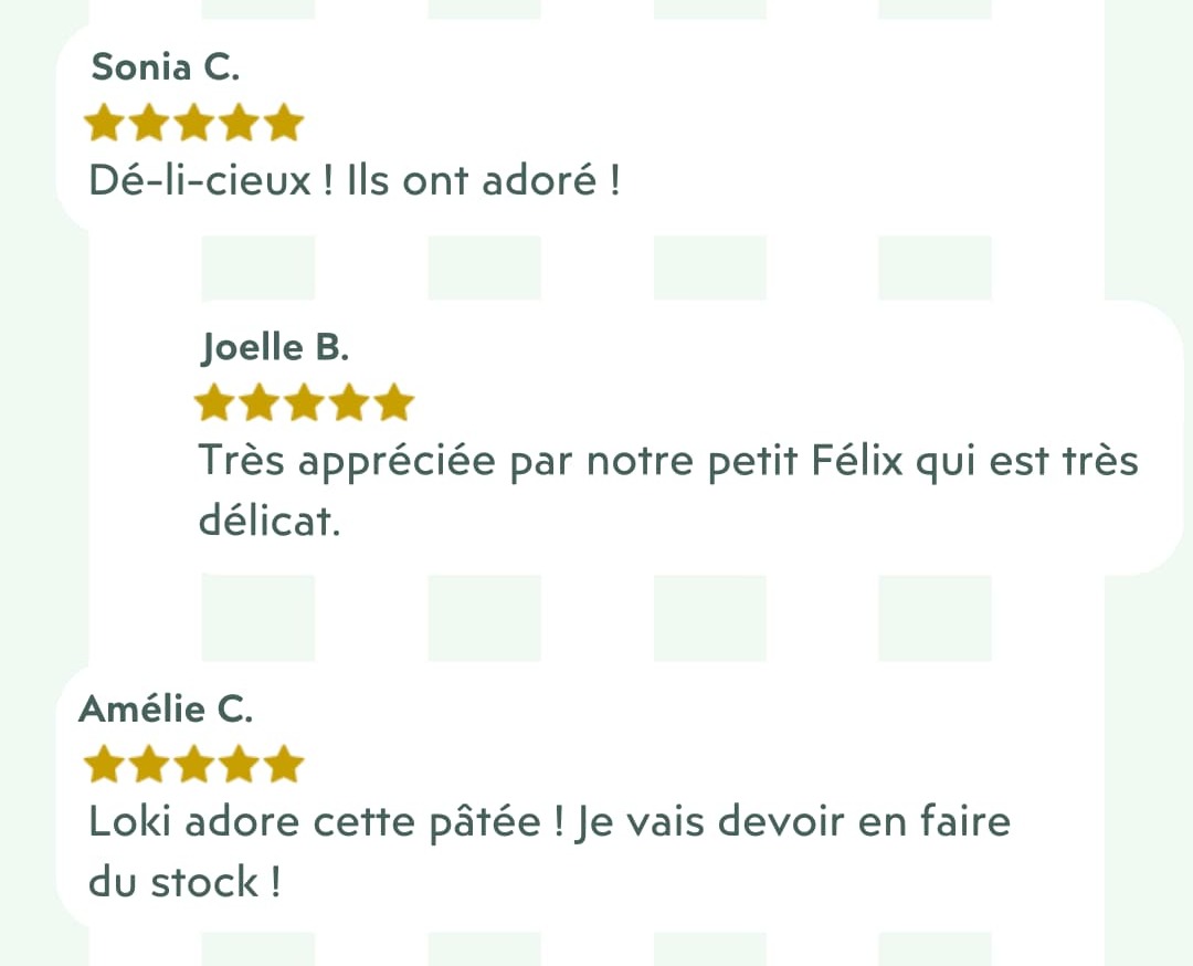 Avis pâtée de Noël 