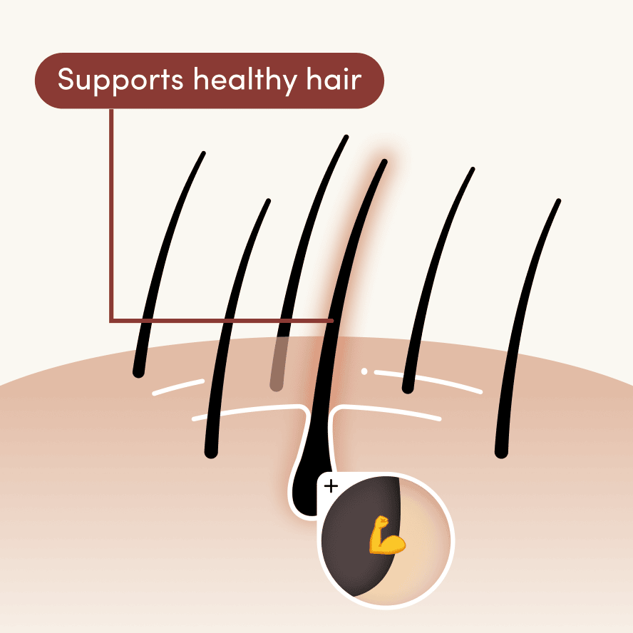 Supports healthy hair