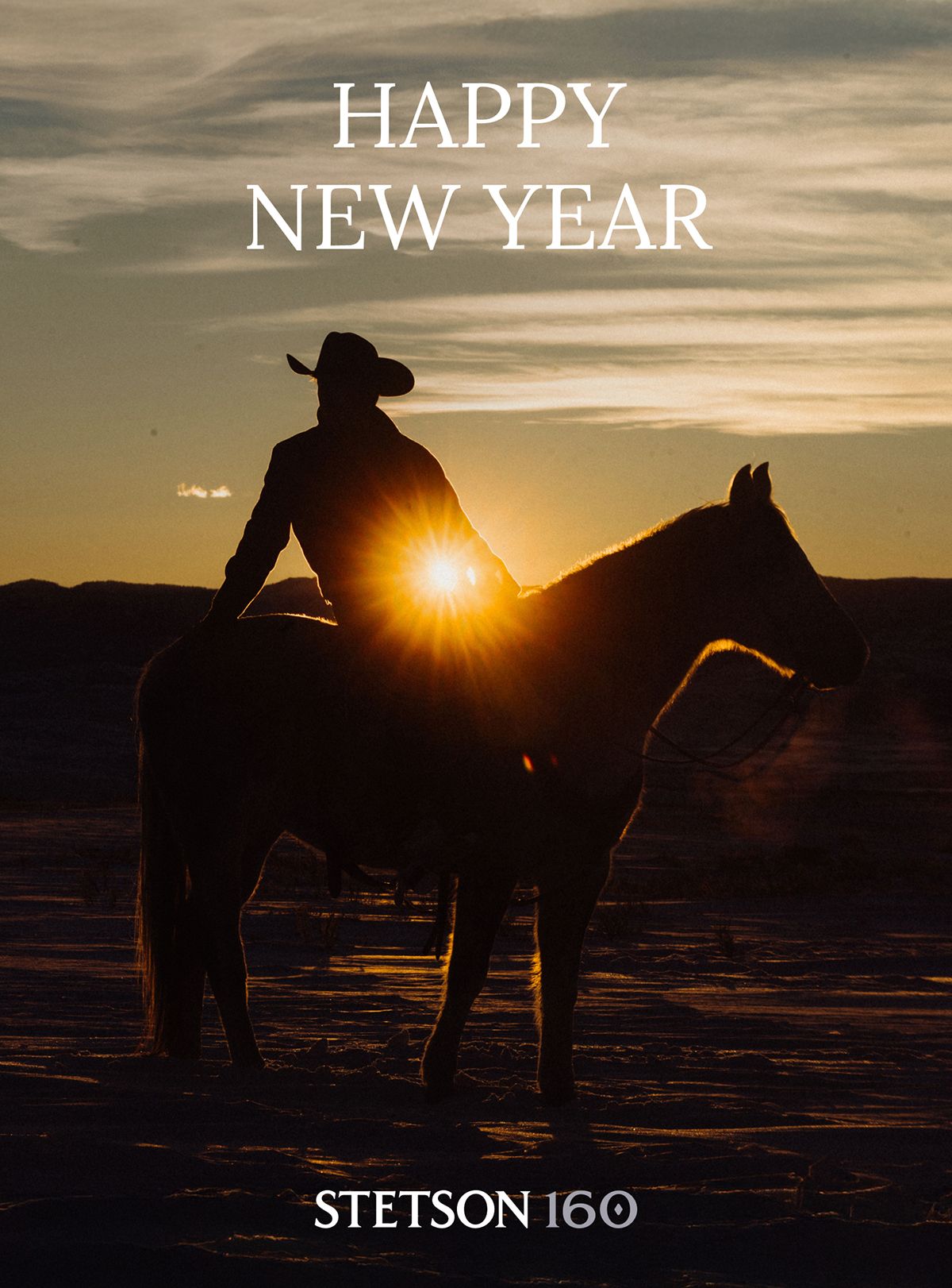 HAPPY NEW  YEAR