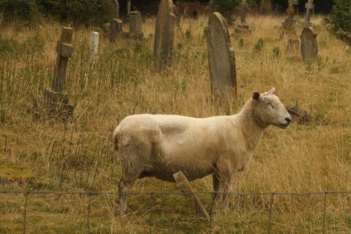 Cudham Churchyard in London.