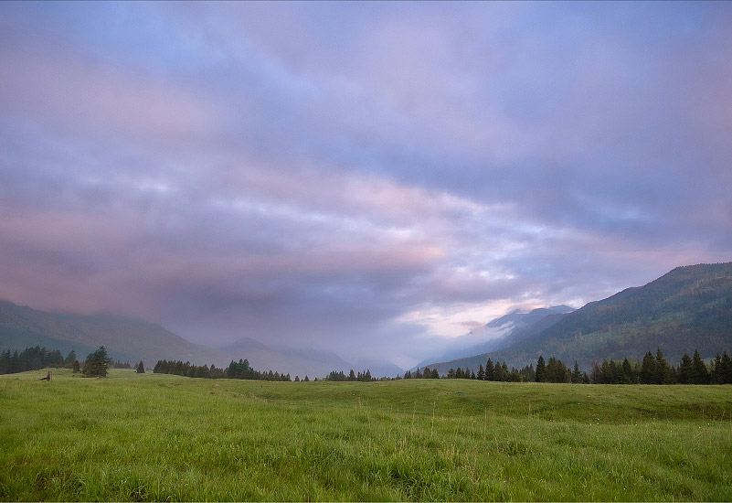 Montana.