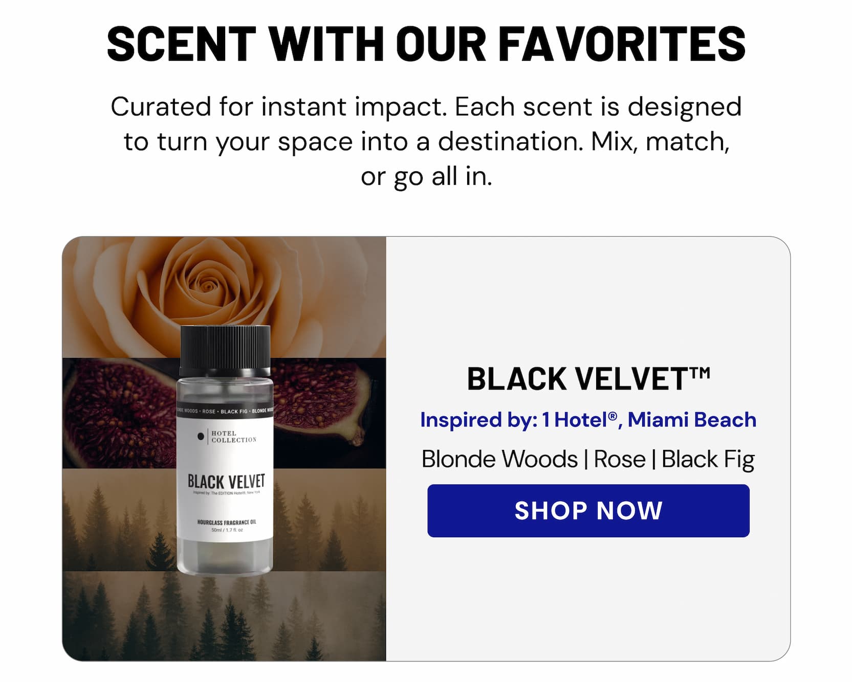 BLACK VELVET