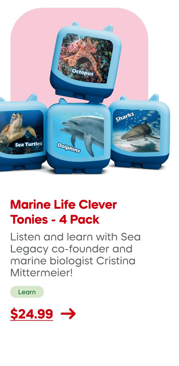 Shop Marine Live Clever Tonies - 4 Pack