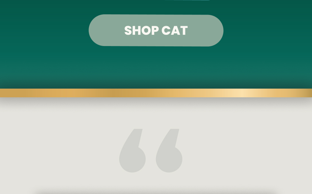 [ SHOP CAT ]