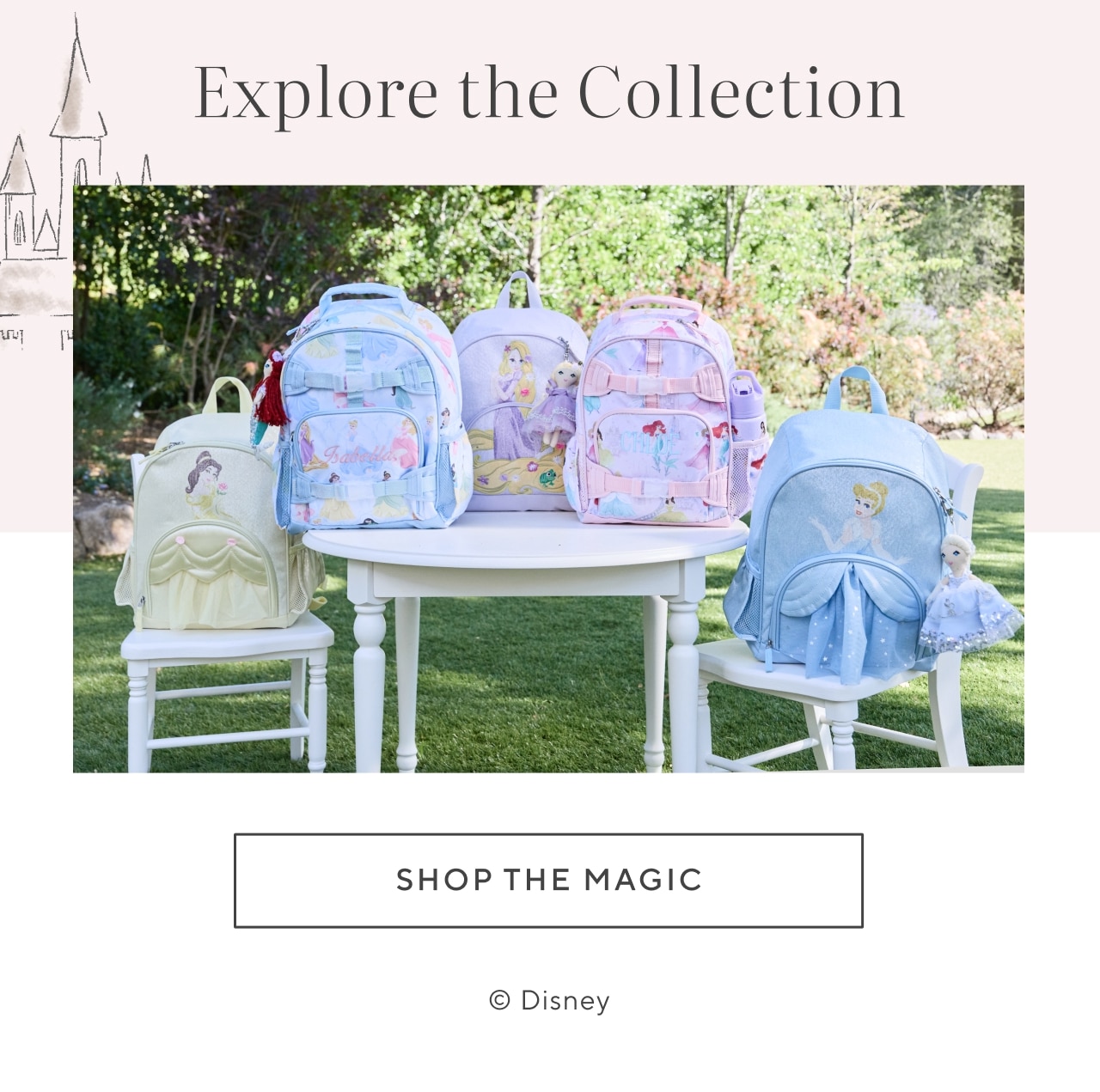 explore the collection