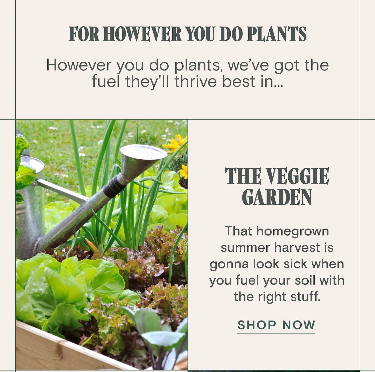 FOR HOWEVER YOU DO PLANTS However you do plants, we’ve got the fuel they'll thrive best in... THE VEGGIE GARDEN &nbsp; That homegrown summer harvest is gonna look sick when you fuel your soil with the right stuff.