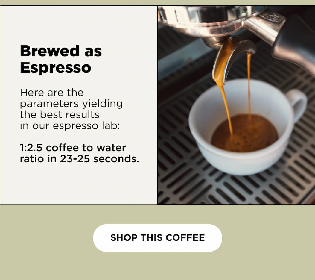 Brewed as Espresso | here are the parameters yielding the best results in our espresso lab: 1:2.5 coffee to water ratio in 23-25 seconds.