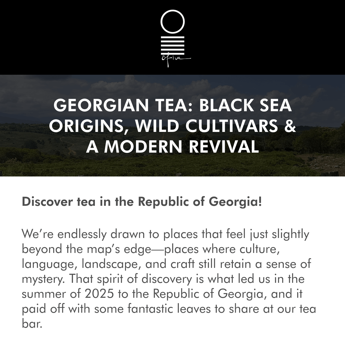 Georgian Tea: Black Sea Origins, Wild Cultivars & A Modern Revival Discover tea in the Republic of Georgia! We’re endlessly drawn to places that feel just slightly beyond the map’s edge—places where culture, language, landscape, and craft still retain a sense of mystery. That spirit of discovery is what led us in the summer of 2025 to the Republic of Georgia, and it paid off with some fantastic leaves to share at our tea bar. The Republic of Georgia is a stunning country, nested by the Black Sea and located right where two continents collide. Our interest was first sparked by our good friend Martin Spimr of Tea Mountain in the Czech Republic. In a leaf exchange, Martin sent us some obscure leaves from Guria, and they immediately caught our attention—teas with the sweetness of northern Chinese black teas and peppery hints of Himalayan Camellia. Sometimes a single cup is enough to open a door, and this one opened onto an entire tea landscape we had barely begun to understand.
