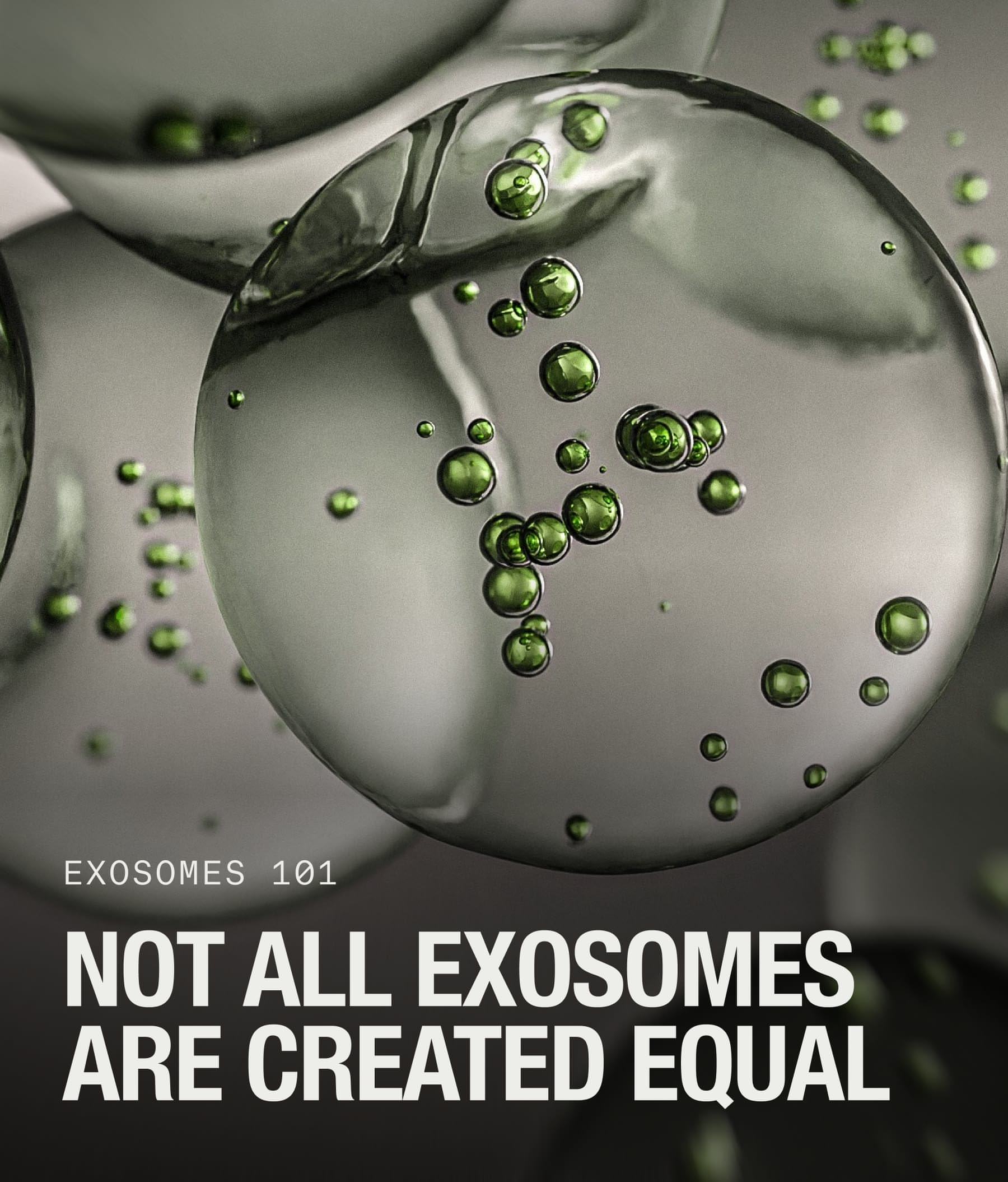 Not All Exosomes Are Created Equal