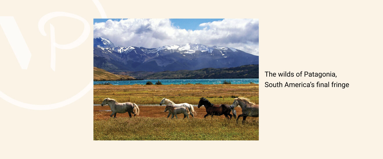the wilds of Patagonia