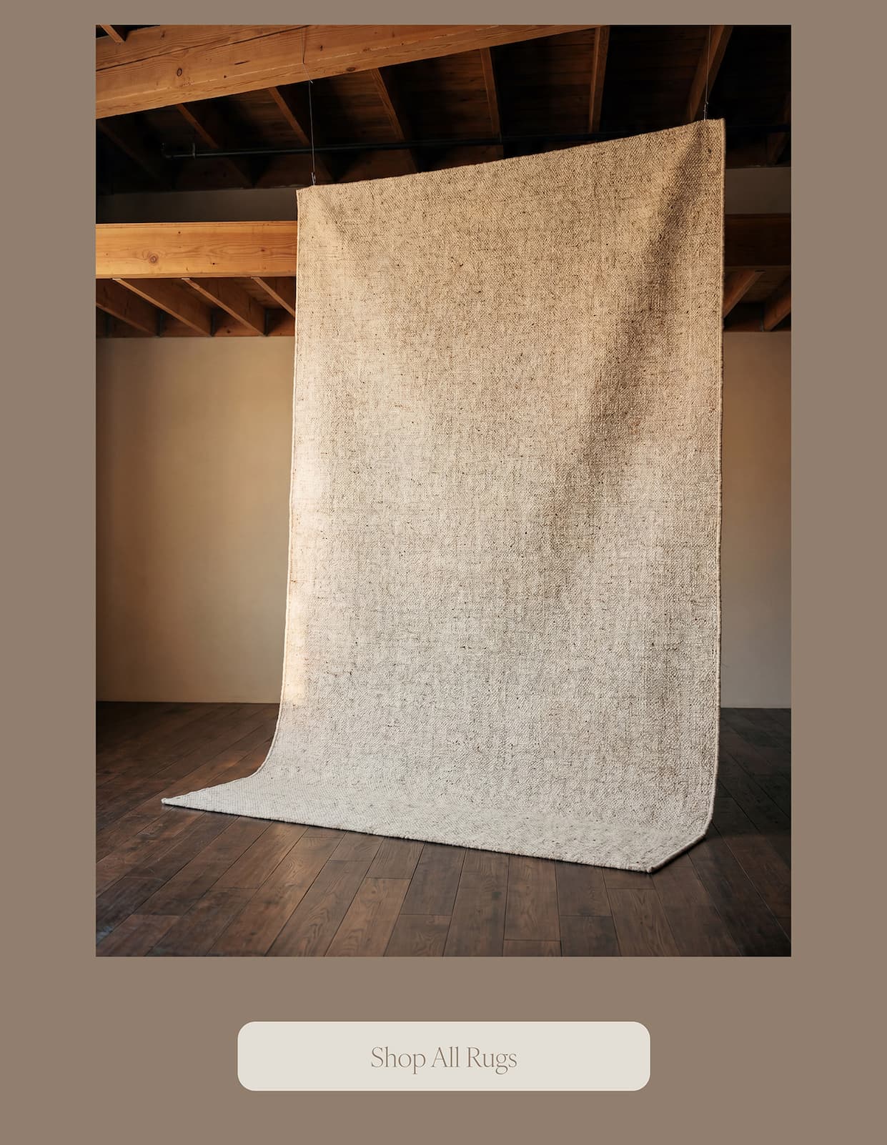 Shop All Rugs