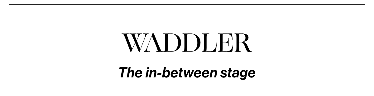 Waddler - The in-between stage