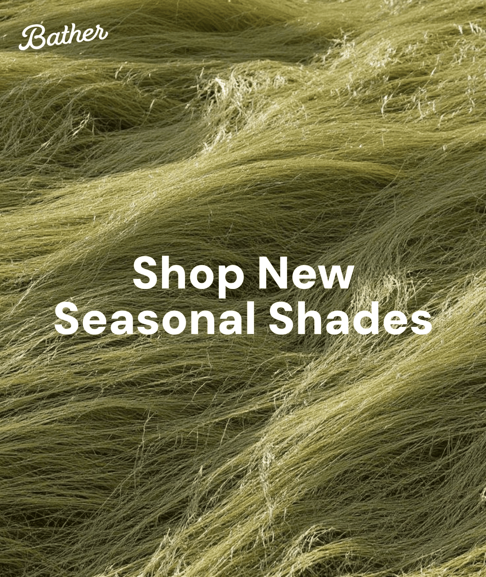 Shop new seasonal shades