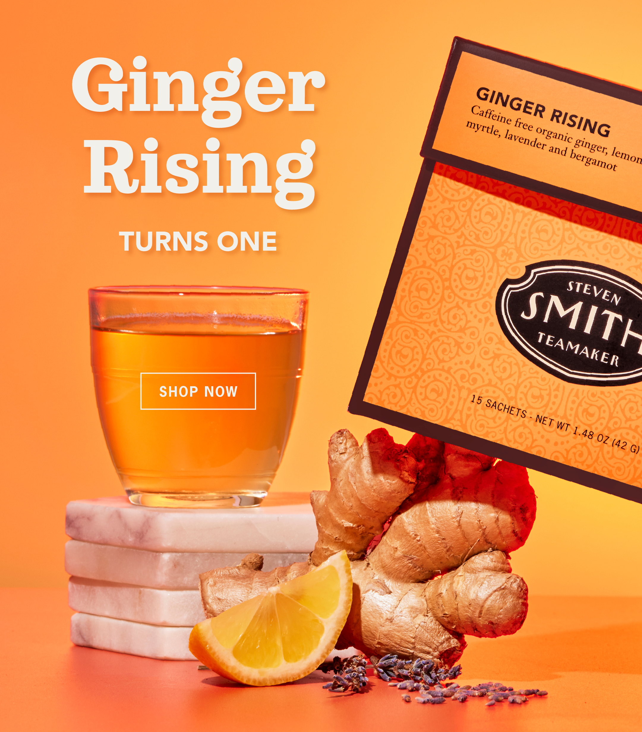 Hero: Ginger Rising Turns 1    CTA: Shop Now 