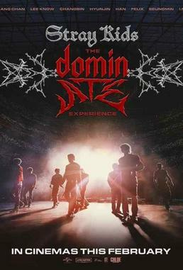 Stray Kids: The dominATE Experience