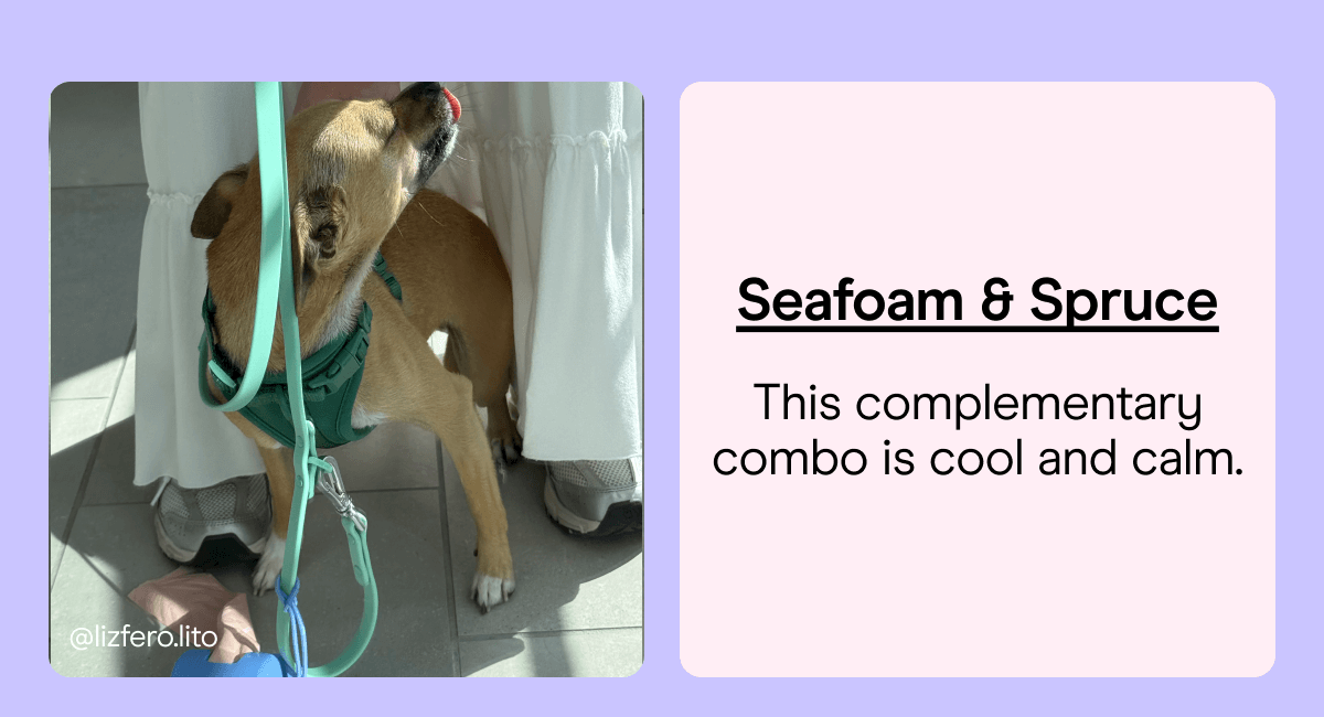 Seafoam & Spruce This complementary combo is cool and calm.
