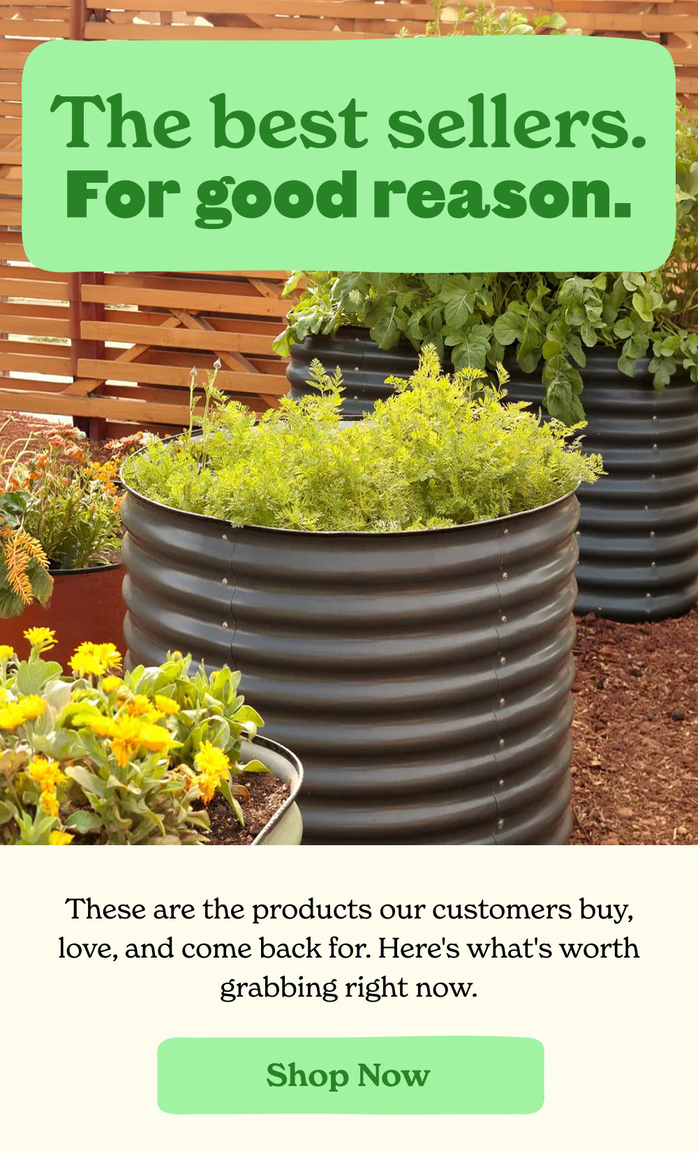 These are the products our customers buy, love, and come back for. Here's what's worth grabbing right now.