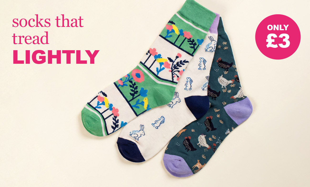 Socks