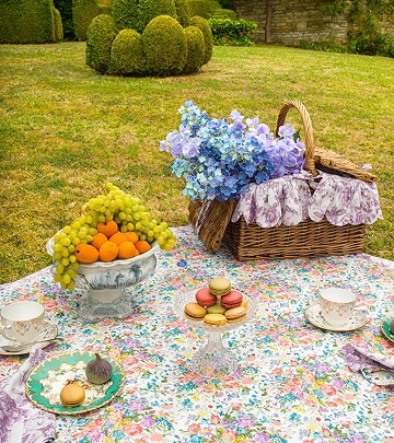 The Perfect Picnic