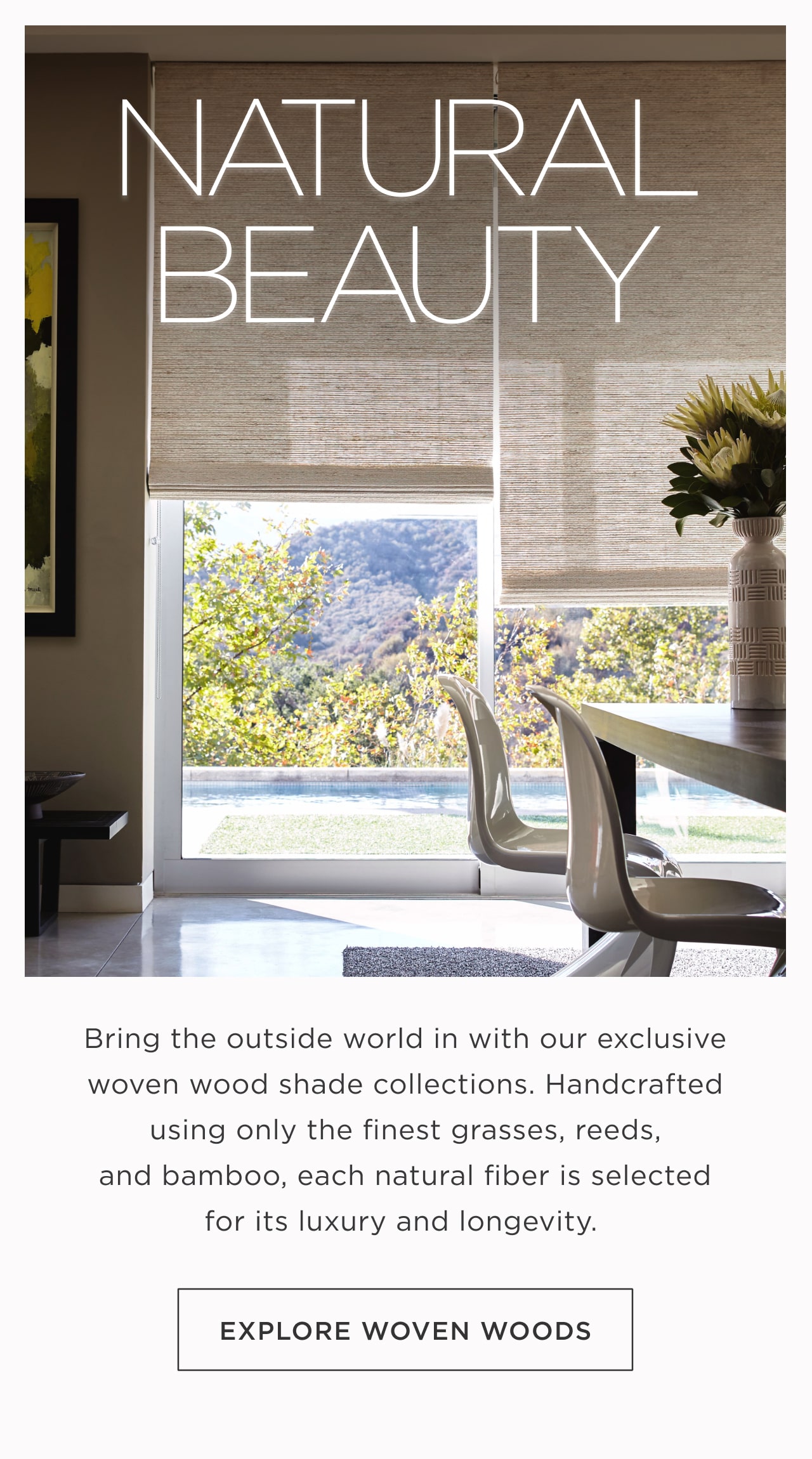 Explore Woven Woods