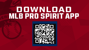 Download MLB PRO SPIRIT