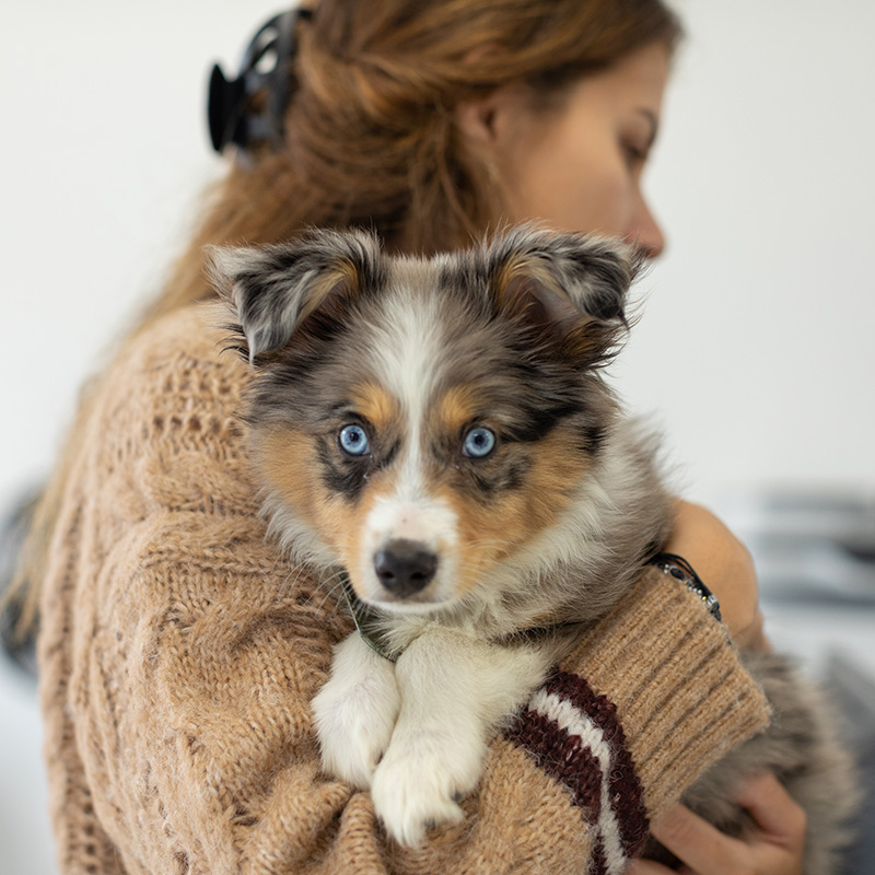 Woman holding puppy