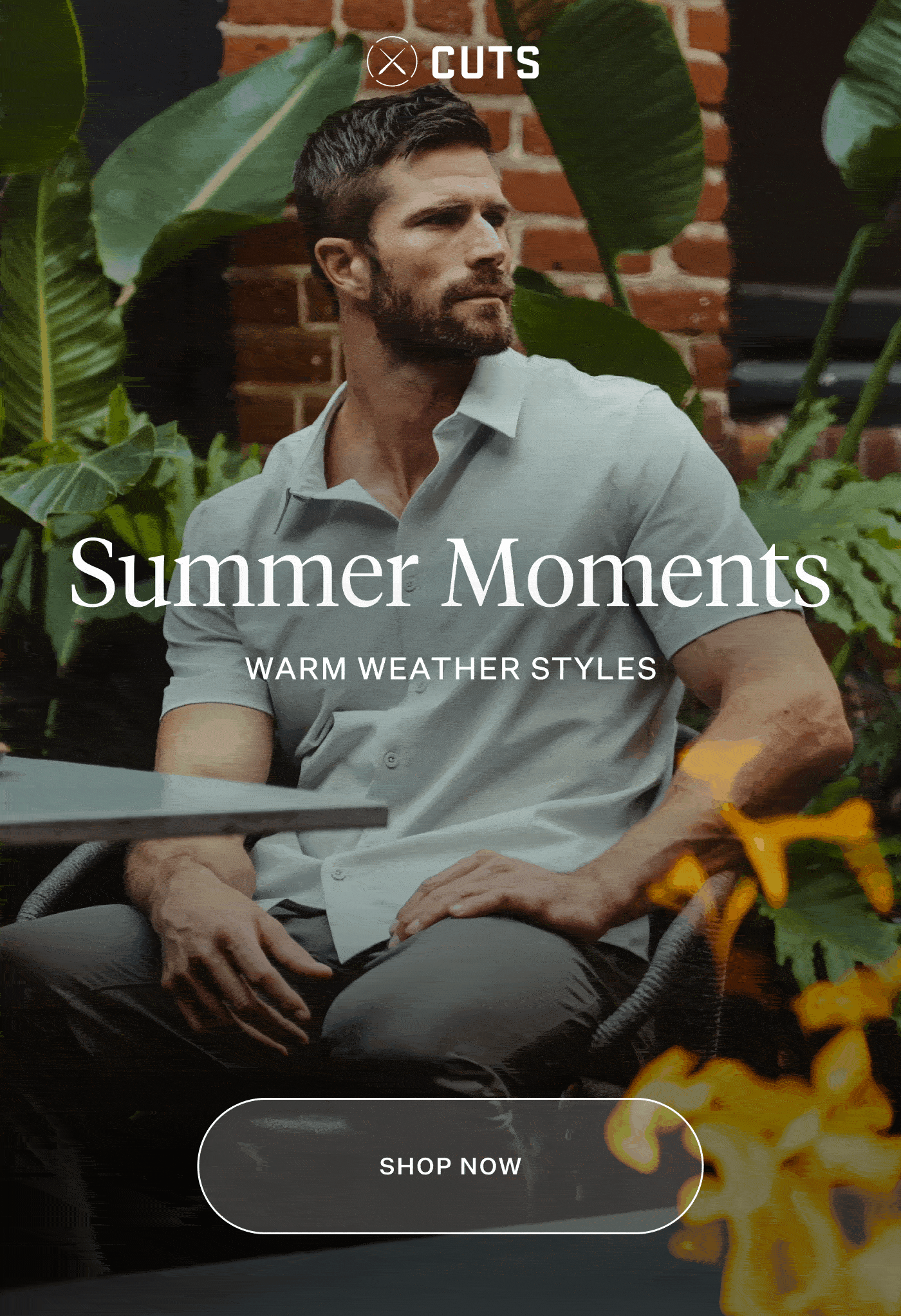 Summer Moments
