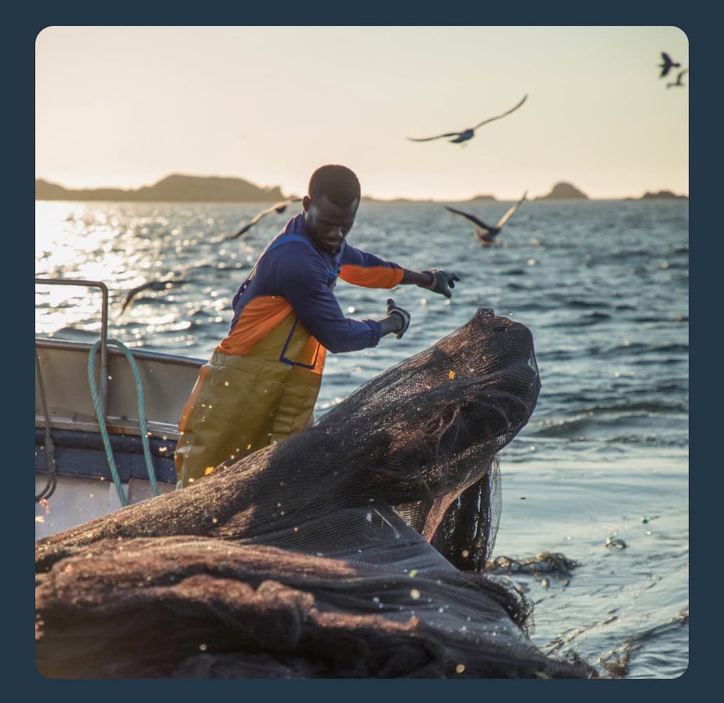 Fisherman casts a net for Sardines or White Anchovies in Galicia Spain.
