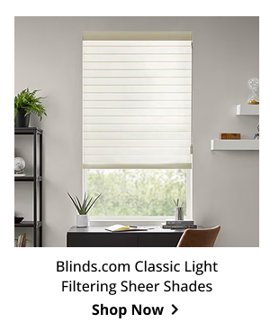 Blinds.com Classic Light Filtering Sheer Shades | Shop Now >