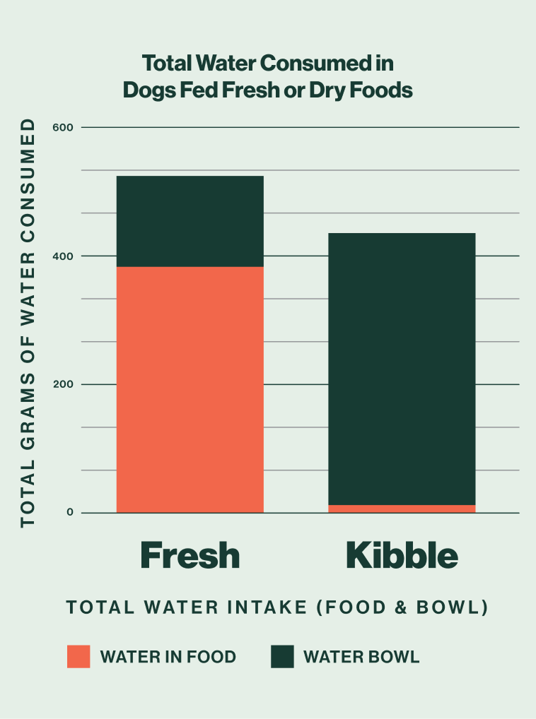 Bar chart titled 'Total Water Consumed in Dogs Fed Fresh or Dry Foods' showing that dogs on a Fresh diet have a higher total water intake and get significantly more water from their food compared to dogs on a Kibble diet, who rely almost entirely on their water bowl.